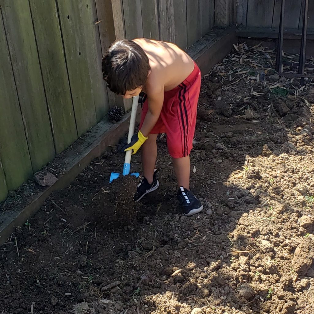 boy gardening
