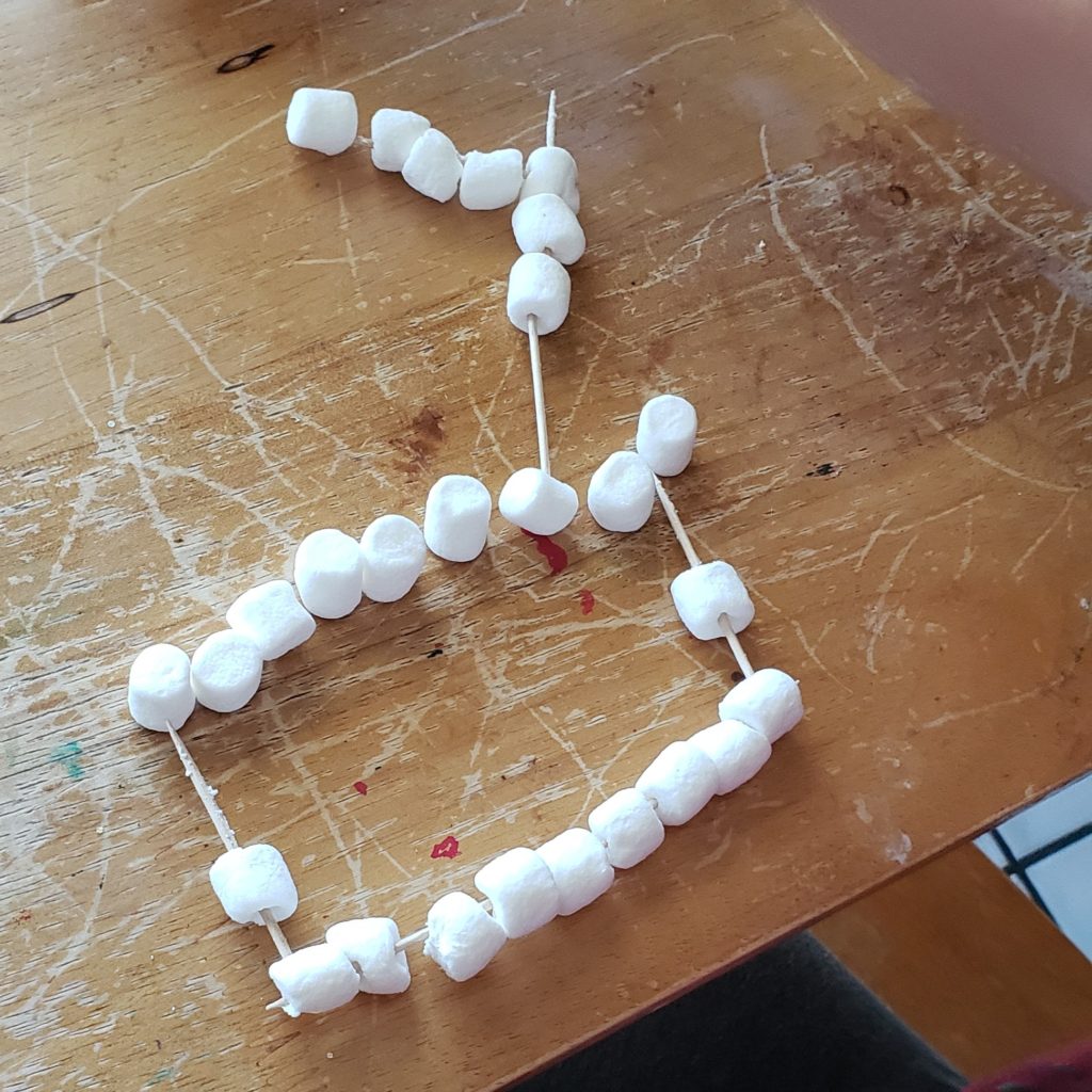 2D model of boat with marshmallows and toothpicks