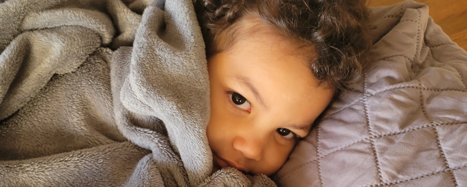 Boy on Couch with Blanket