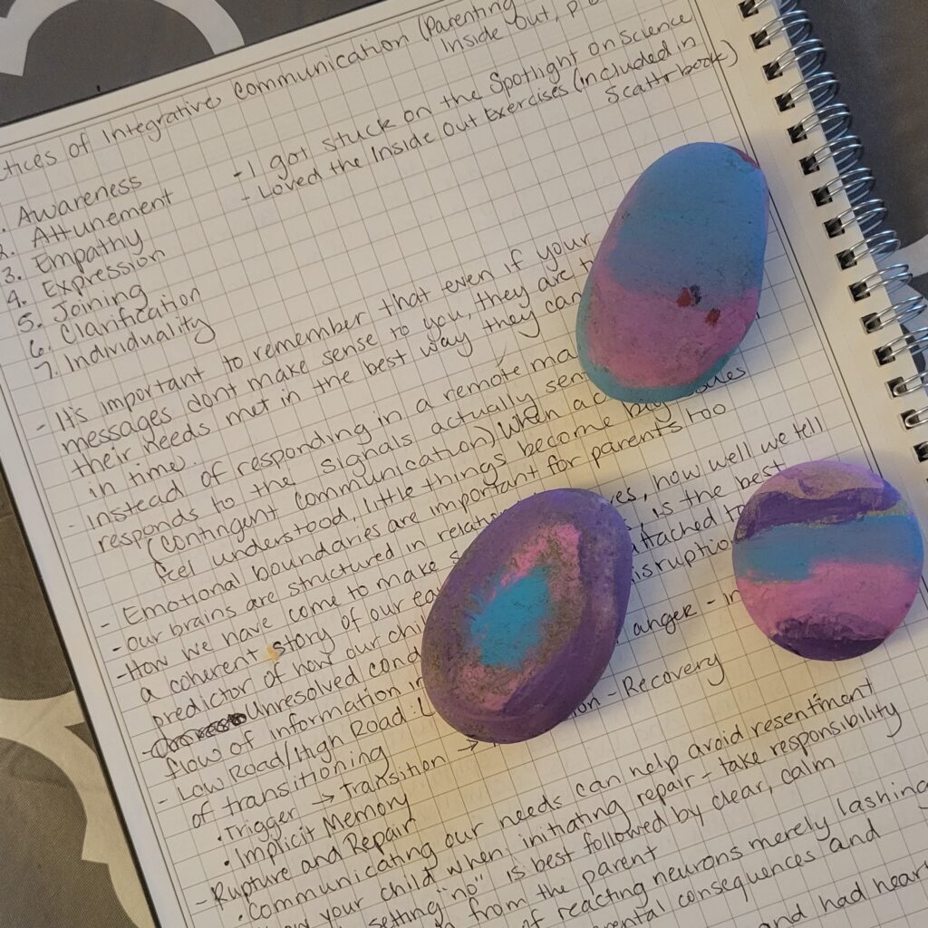 notebook with handwriting and 3 rocks
